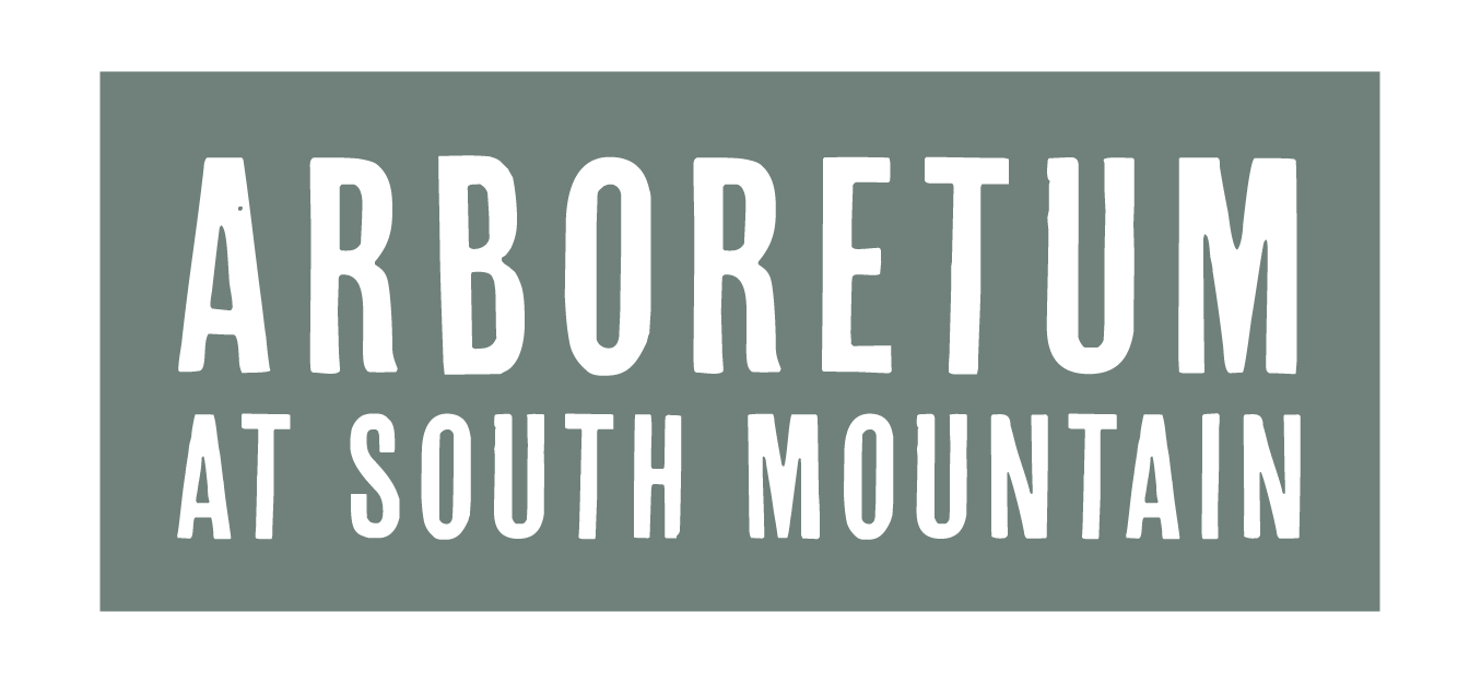 Arboretum at South Mountain, AZ