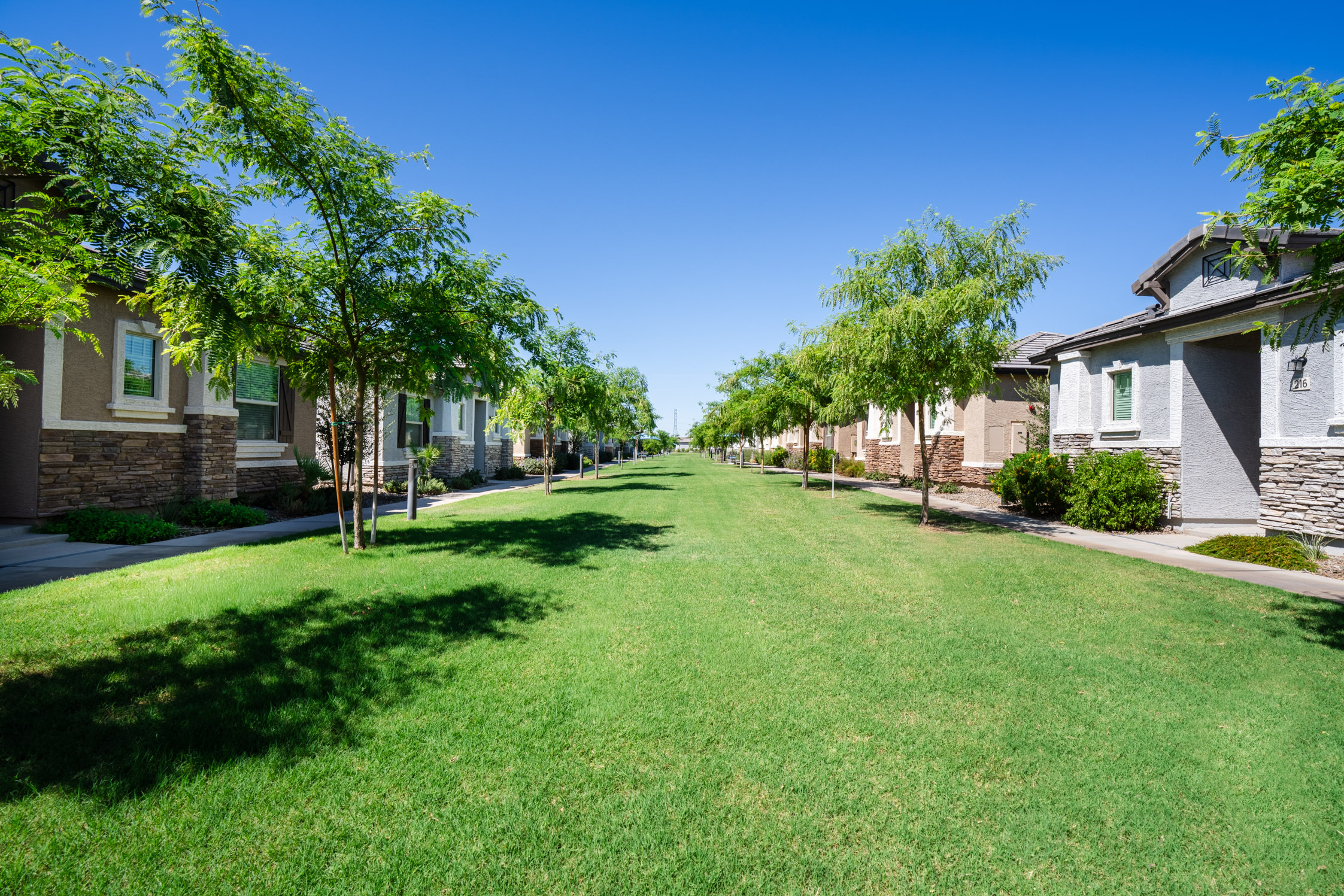 Manicured Community Greenery