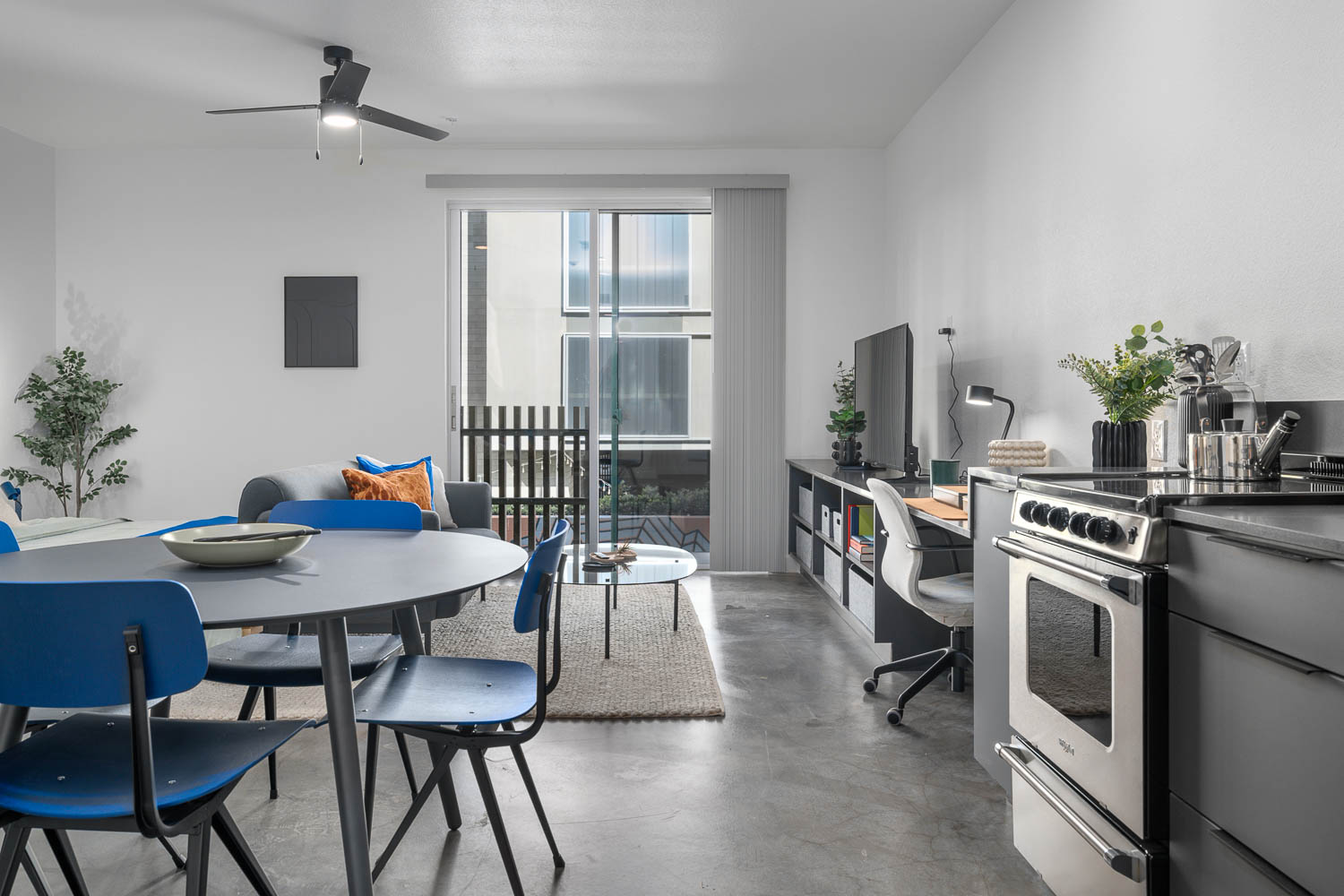 Upscale Apartment Features