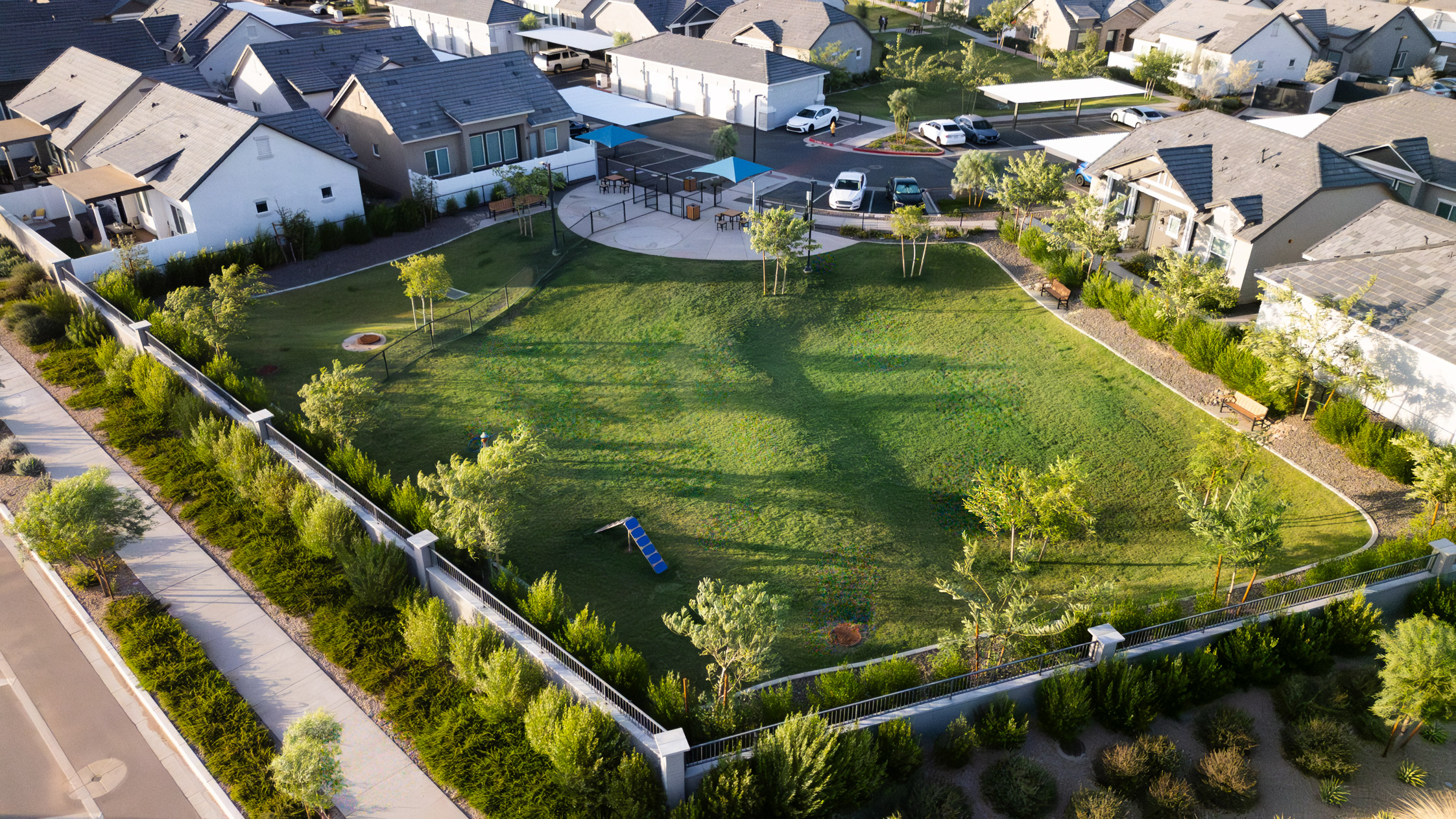 Pet-Friendly Community Dog Area