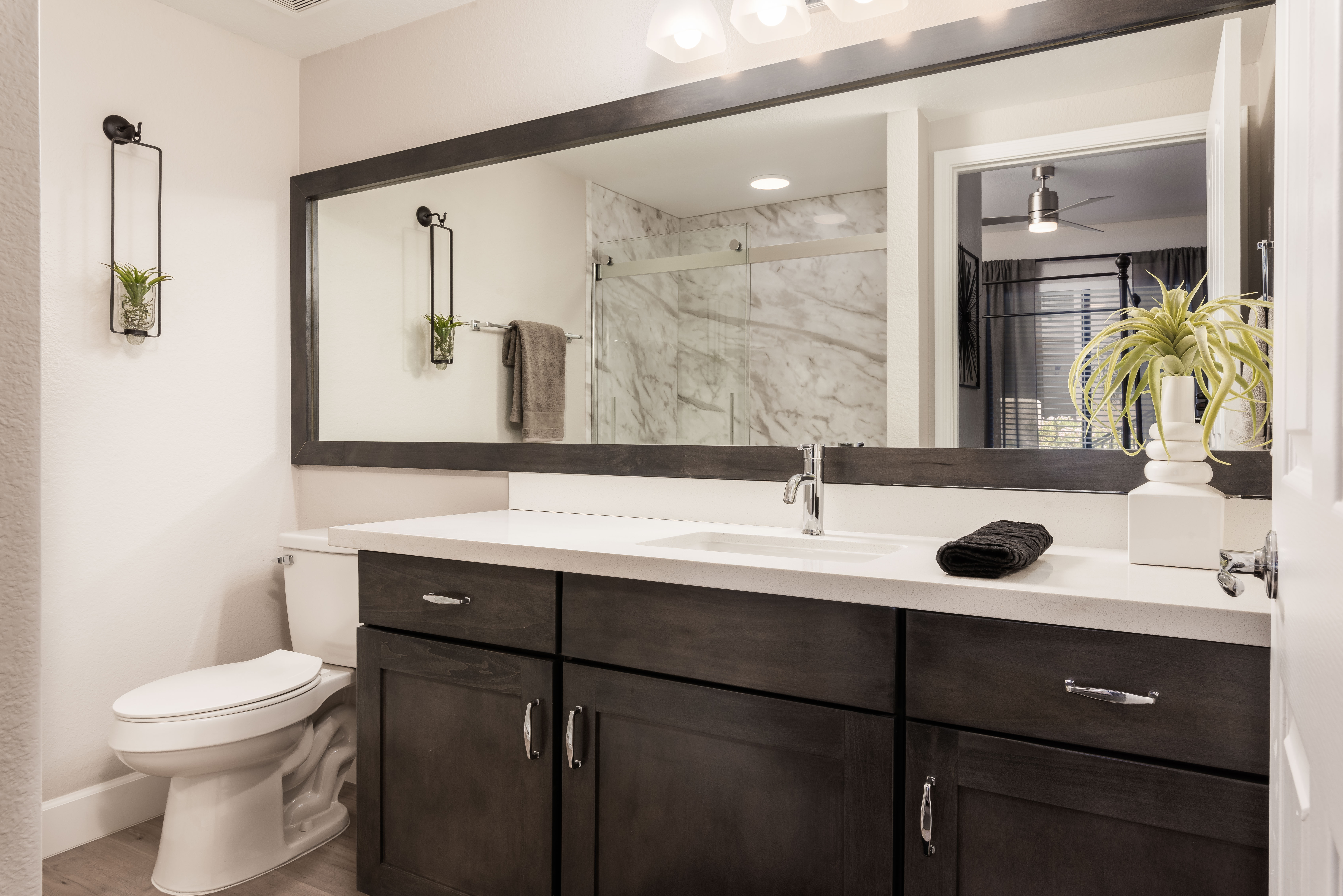 Multiple Carousel Card Virtual Tour