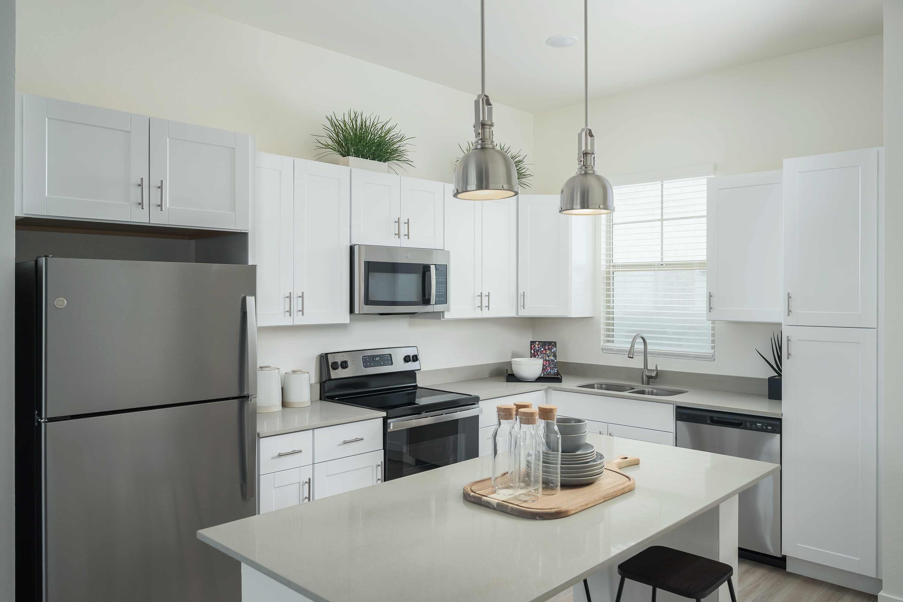 Stainless Steel Appliances