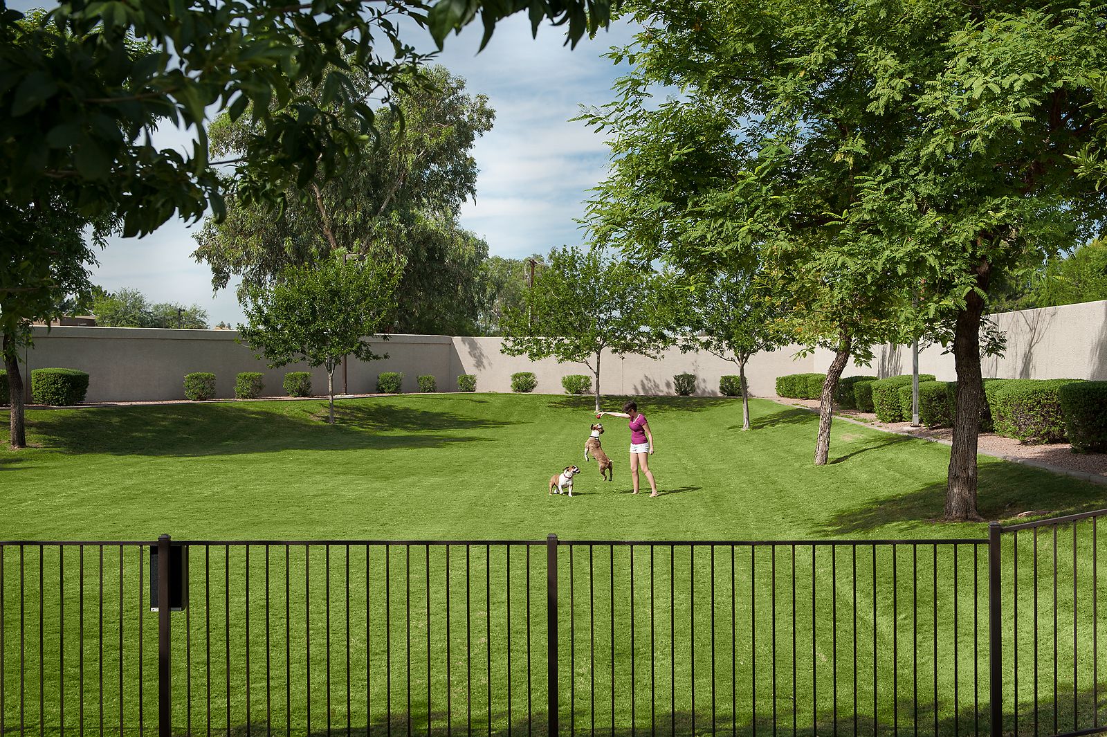 Community Dog Park