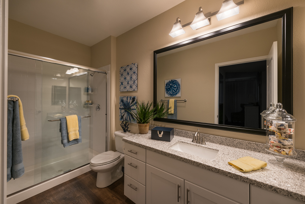 Multiple Carousel Card Virtual Tour