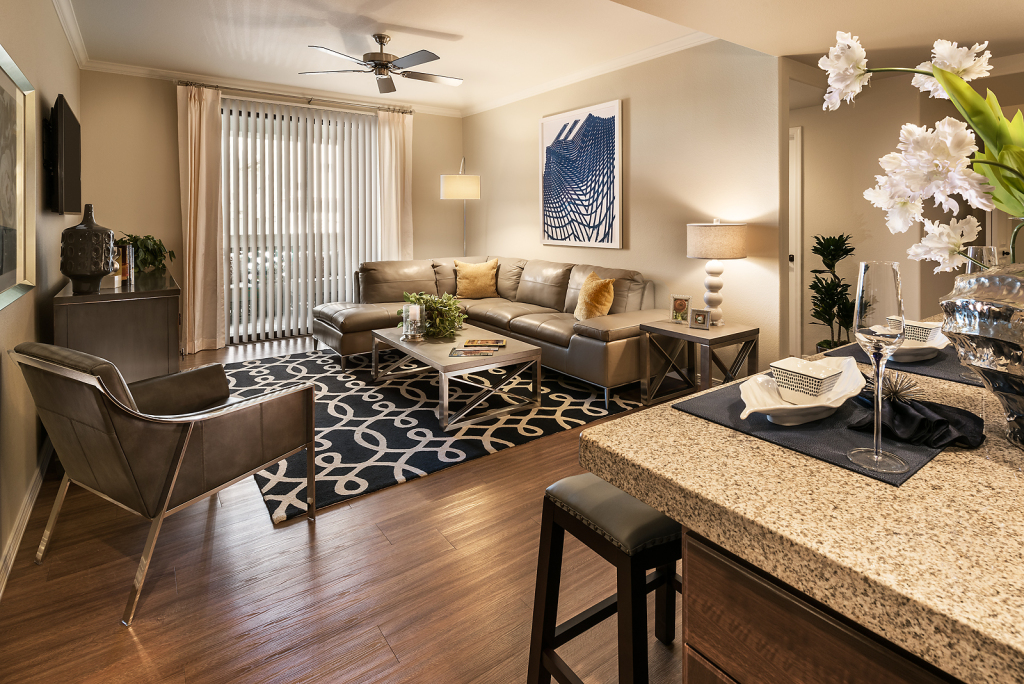 Luxury Apartment Features