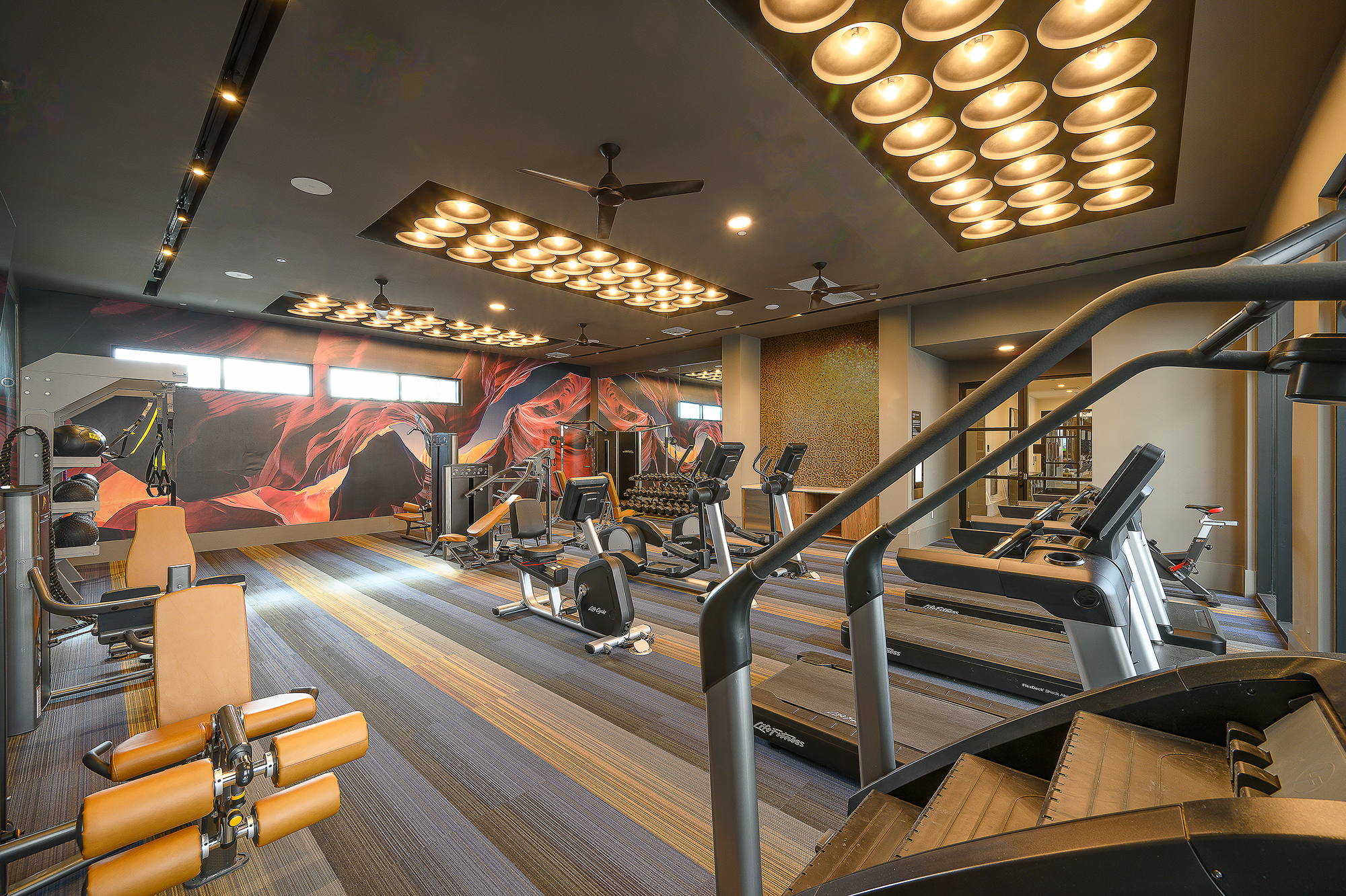 Cardio, Free Weights & Functional Training Zones