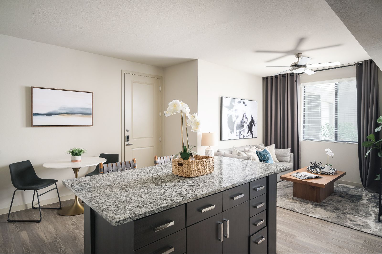 Open Concept Floorplans