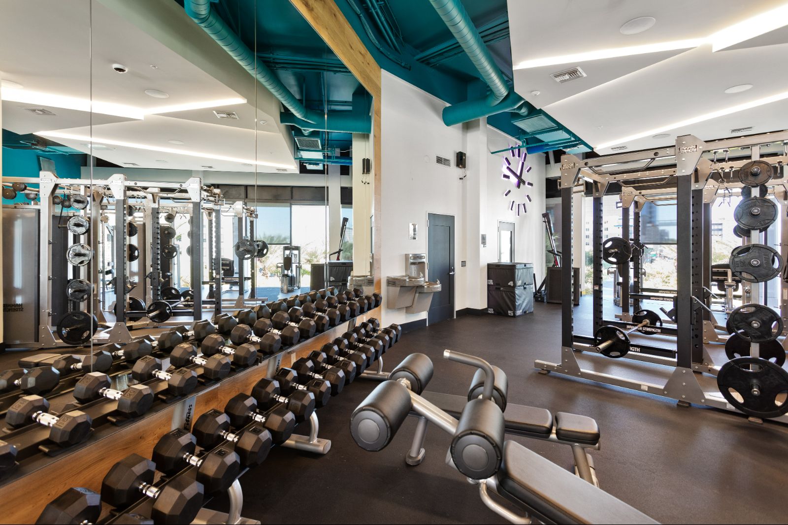 Free Weights and Squat Rack Inside Fitness Center