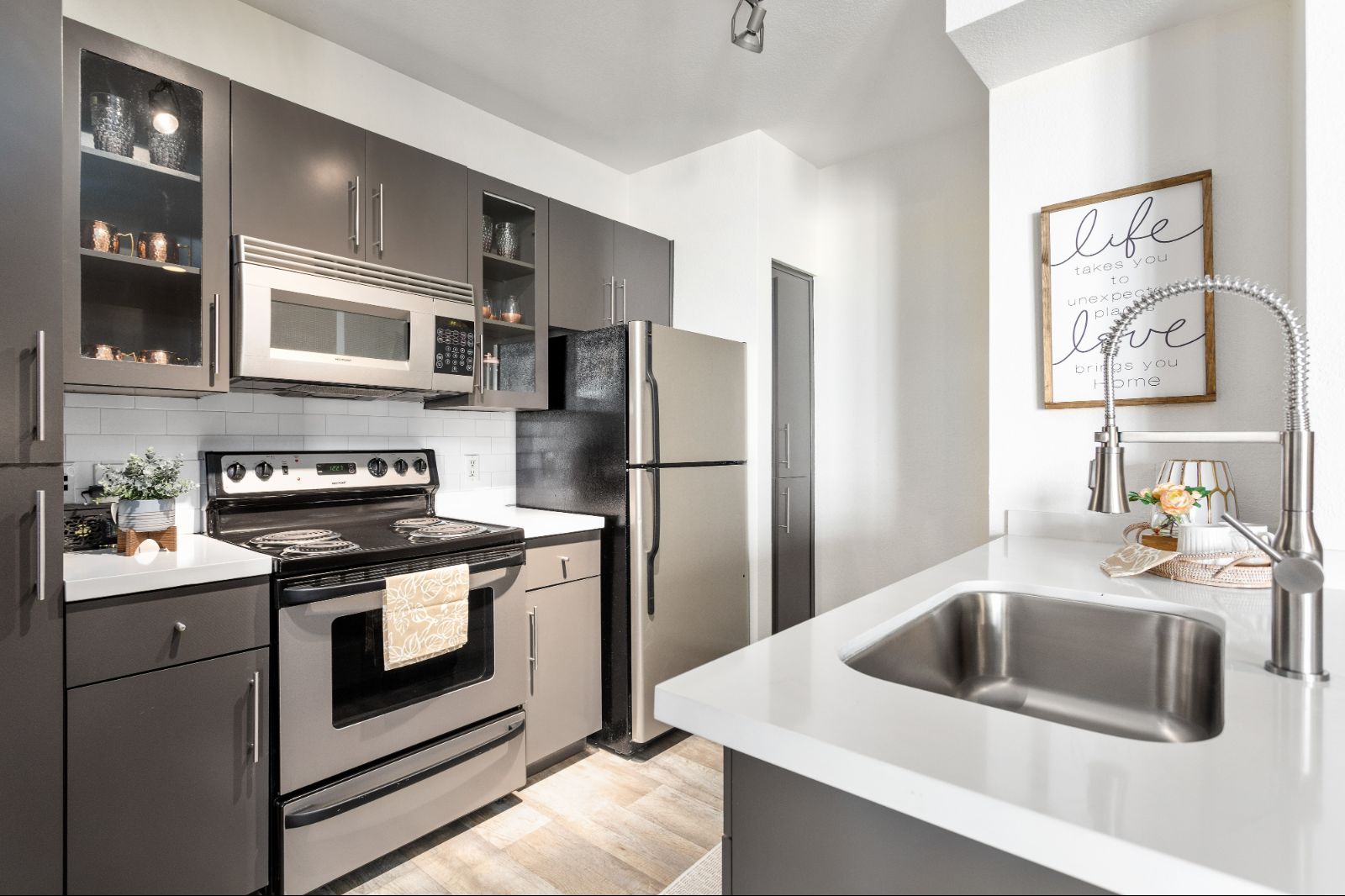 Stainless Steel Appliances and Quartz Countertops