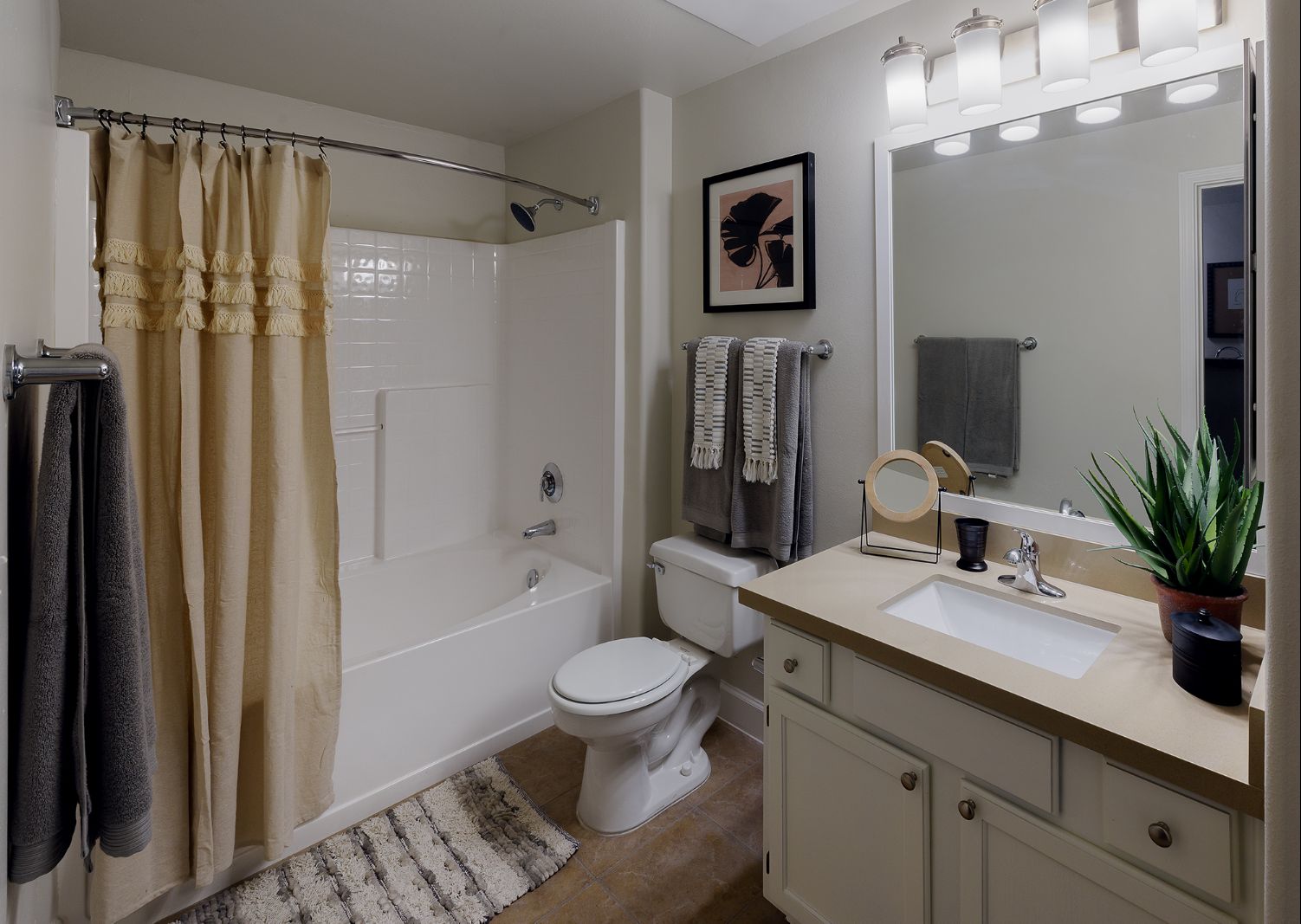 Multiple Carousel Card Virtual Tour