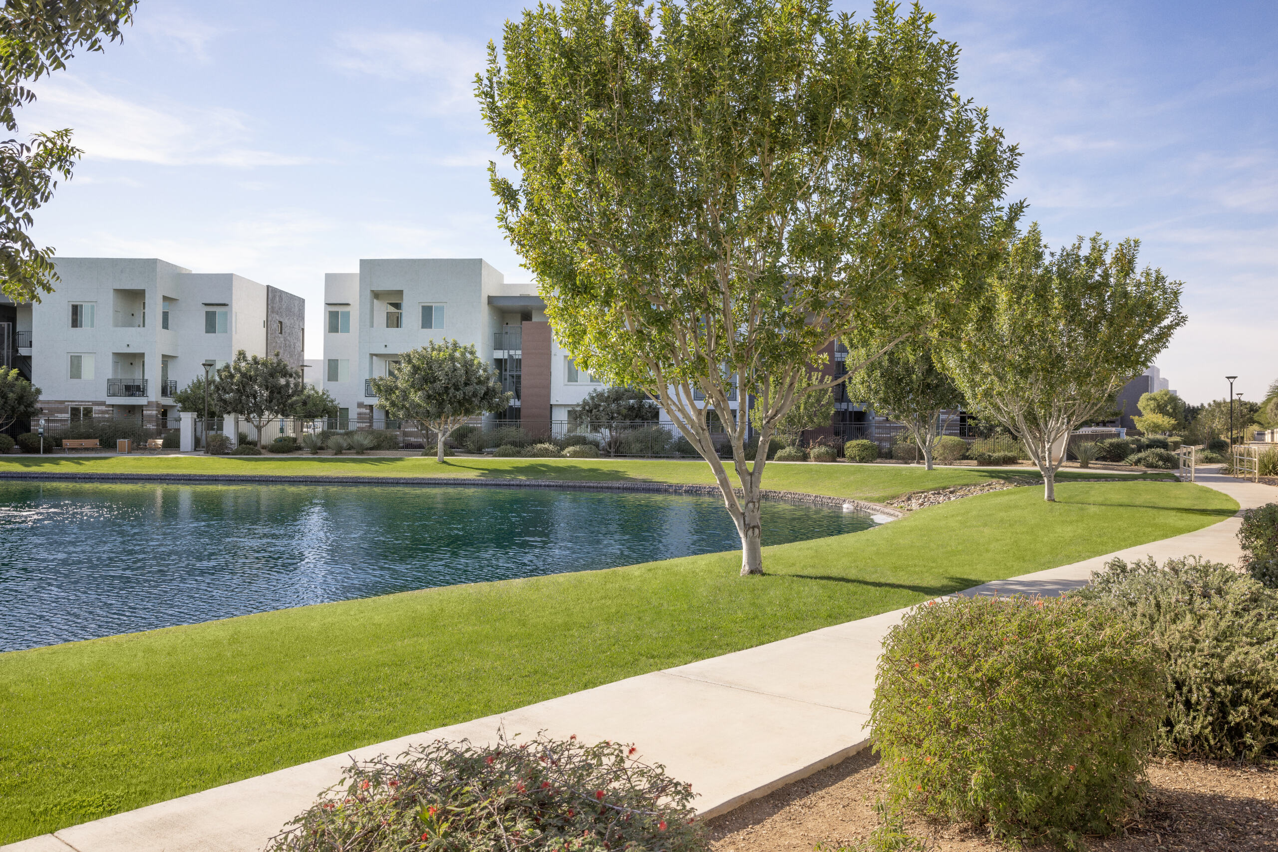 Virtual Tour | Velaire at Aspera in Glendale, AZ